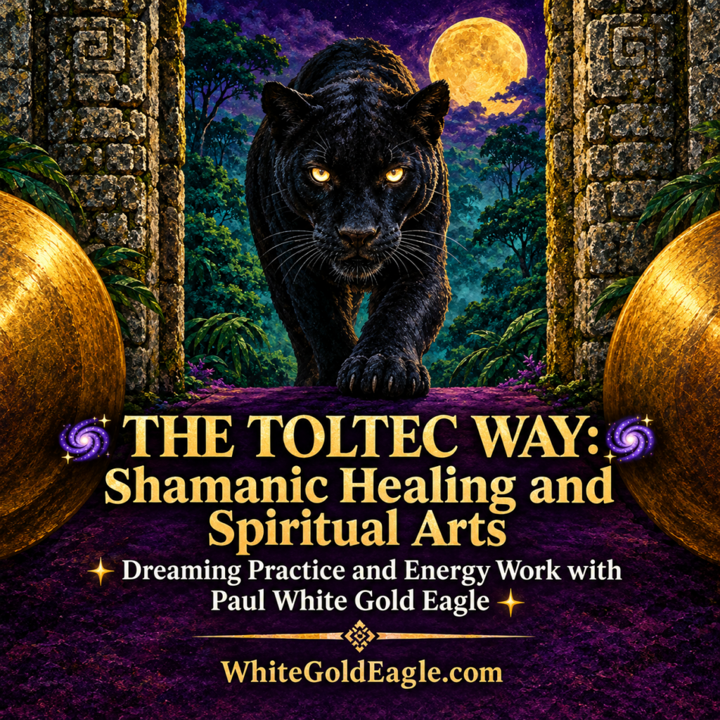 THE TOLTEC WAY 