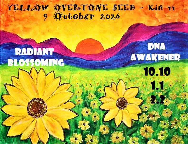 YELLOW OVERTONE SEED