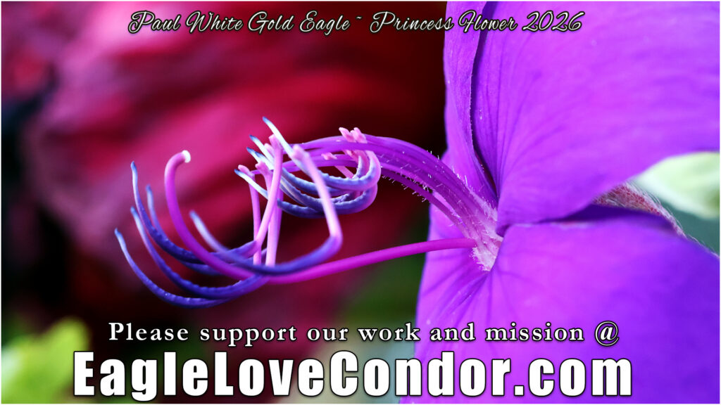 Princess Flower